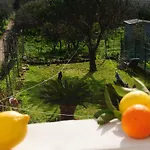 Casa de Férias Island Procida