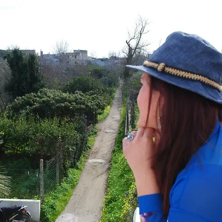 Island בית נופש