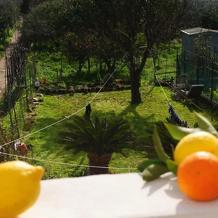 בית נופש Island פרוסידה